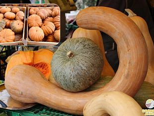 la-zucca-nei-piatti-del-contadino