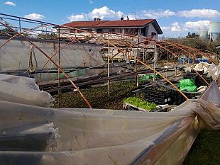 in-toscana-vivai-e-fiori-distrutti-aziende-a-rischio-chiusura