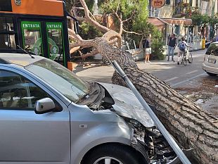 libeccio-forte-su-tutta-la-toscana-danni-sulla-costa