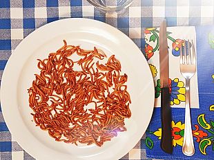 i-consumatori-piu-disponibili-a-cibarsi-di-insetti-sono-giovani-maschi-e-di-cultura