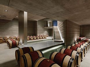 una-cantina-nuova-a-bolgheri