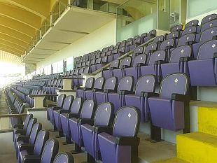 una-strada-diversa-per-riqualificare-lo-stadio-franchi