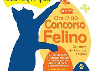 esposizione-internazionale-canina-a-firenze