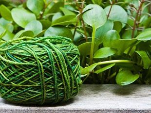 b203201409-i-filati-toscani-diventano-social