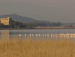 a904192234-giornata-all-oasi-wwf-grande-successo-nonostante-il-maltempo-al-lago-di-burano