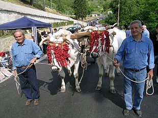 a905192302-vaiano-a-le-fornaci-domenica-24-maggio-torna-la-festa-della-fienagione-e-della-spolveratura
