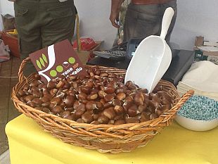 da-domenica-al-via-le-feste-dei-marroni