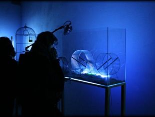 b010241833-festival-della-creativita-appuntamento-al-2011