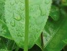 scudo-verde-da-lunedi-cambia-la-scritta-sui-pannelli