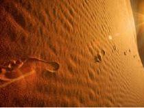 a606121535-impronta-ecologica-e-politiche-ambientali-europee-a-siena-conferenza-pubblica-del-footprint-forum-2006