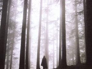 confagricoltura-usare-il-recovery-per-salvare-le-foreste