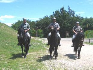 a909011626-collaudata-l-ippovia-foreste-sacre-nel-casentino
