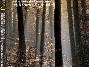 a901042204-libri-natura-e-spiritualita-nel-parco-nazionale-delle-foreste-casentinesi-monte-falterona-e-campigna