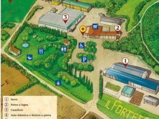 forteto-che-succedera-dopo-la-condanna-definitiva-di-fiesoli