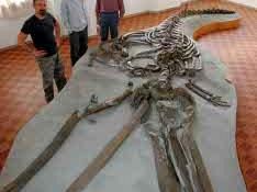 b002161440-al-maec-di-cortona-spazio-al-mito-dei-draghi-e-dei-giganti