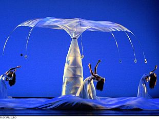 b208011436-i-momix-tra-i-cipressi-di-bolgheri