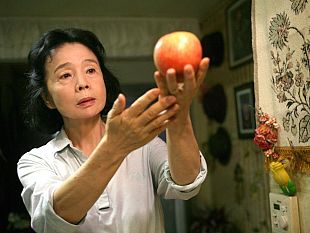 b209271911-poetry-capolavoro-coreano-allo-stensen