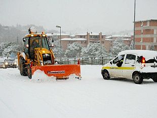 neve