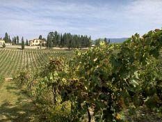 a705231417-cantine-aperte-un-viaggio-alla-scoperta-dei-tesori-della-toscana