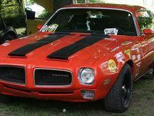 a705281352-on-the-road-a-bivigliano-lo-scorso-fine-settimana