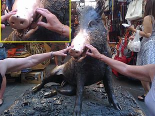 ruba-le-monete-al-porcellino-arrestato-e-multato