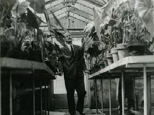 b109161932-fiesole-i-giardini-di-pietro-porcinai