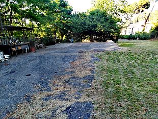 galluzzo-il-24-giugno-grigliate-speciali-alla-gora