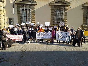 covid-19-toelettatura-aperta-e-centri-estetici-no