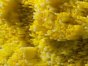 seducenti-plastic-shapes