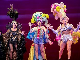 il-musical-priscilla-la-regina-del-deserto-al-teatro-verdi-di-firenze