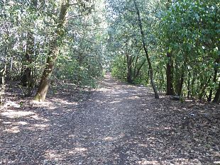 giovedi-riparte-il-progetto-palestre-allaperto-nei-parchi-e-giardini-pubblici
