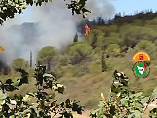 greve-in-chianti-incendio-tra-olivi-e-bosco