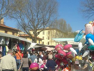 mostra-dei-fiori-piazzale-degli-uffizi-diventa-un-grande-giardino