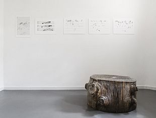 le-piante-compositrici-di-stromberg