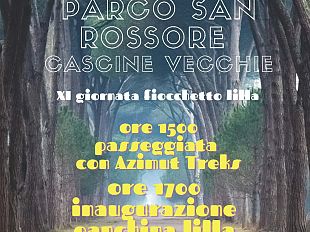 il-15-marzo-la-giornata-dei-disturbi-dellalimentazione