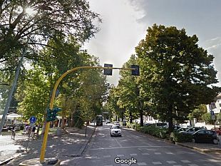 alberi-di-firenze-esposto-contro-il-perforatore-di-tigli