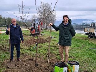 nuovo-bosco-urbano-sullarno-tra-varlungo-e-rovezzano
