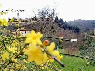 maratona-fotografica-citta-di-firenze-2023