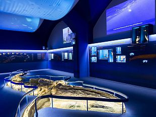 ferragosto-2025-al-museo
