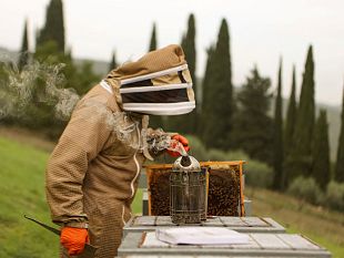 sabato-23-maggio-la-festa-delle-api-e-della-biodiversita-a-travalle