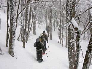 oggi-arriva-il-grande-freddo-allerta-neve-dalle-18-anche-in-pianura