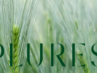 plures-e-il-nuovo-nome-della-multiutility