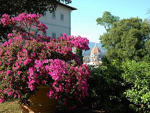 diventare-giardiniere-darte