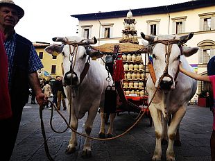 carro-matto-in-piazza-duomo-a-firenze-sabato-1-ottobre