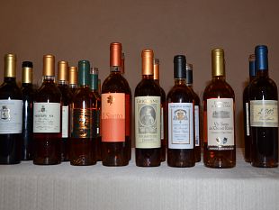 terraelectae-alta-passione-in-vigna