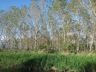 caccia-sconcerto-in-toscana-per-il-corso-di-abbattimento-ungulati