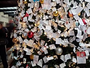 lalbero-di-natale-della-stazione-ha-fatto-il-pieno-di-lettere