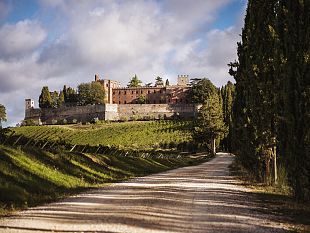 wine-tours-e-incoming-in-cantina-nel-futuro-dei-sommelier