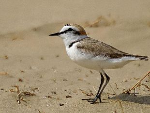 b203171925-metti-una-giornata-a-bocca-di-serchio