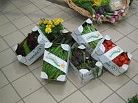 a906231424-maturita-alla-vigilia-della-prima-prova-scritta-i-segreti-della-dieta-per-i-maturandi